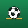 Director of Football
