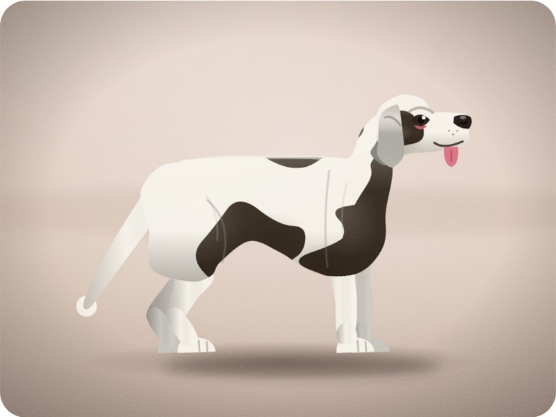 Beagle