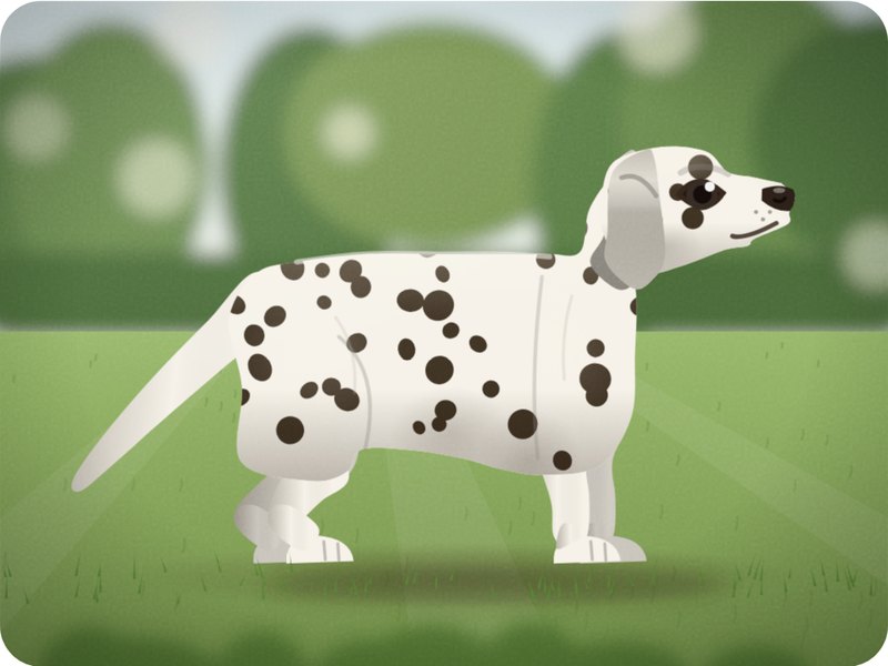 Dalmatian