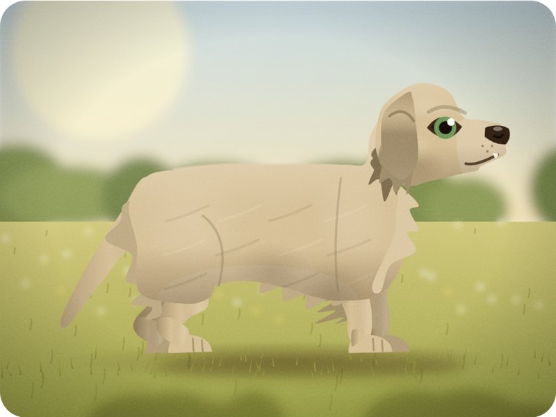 Golden Retriever