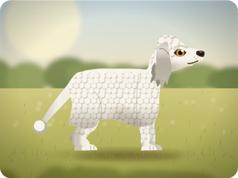 Poodle